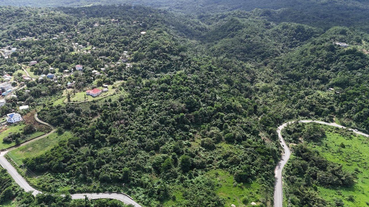 Fifth image of Williamsfield Portland in Williamsfield, Portland, Jamaica - property is For Sale