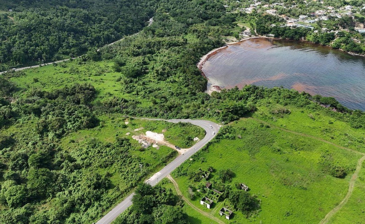 Sixth image of Williamsfield Portland in Williamsfield, Portland, Jamaica - property is For Sale