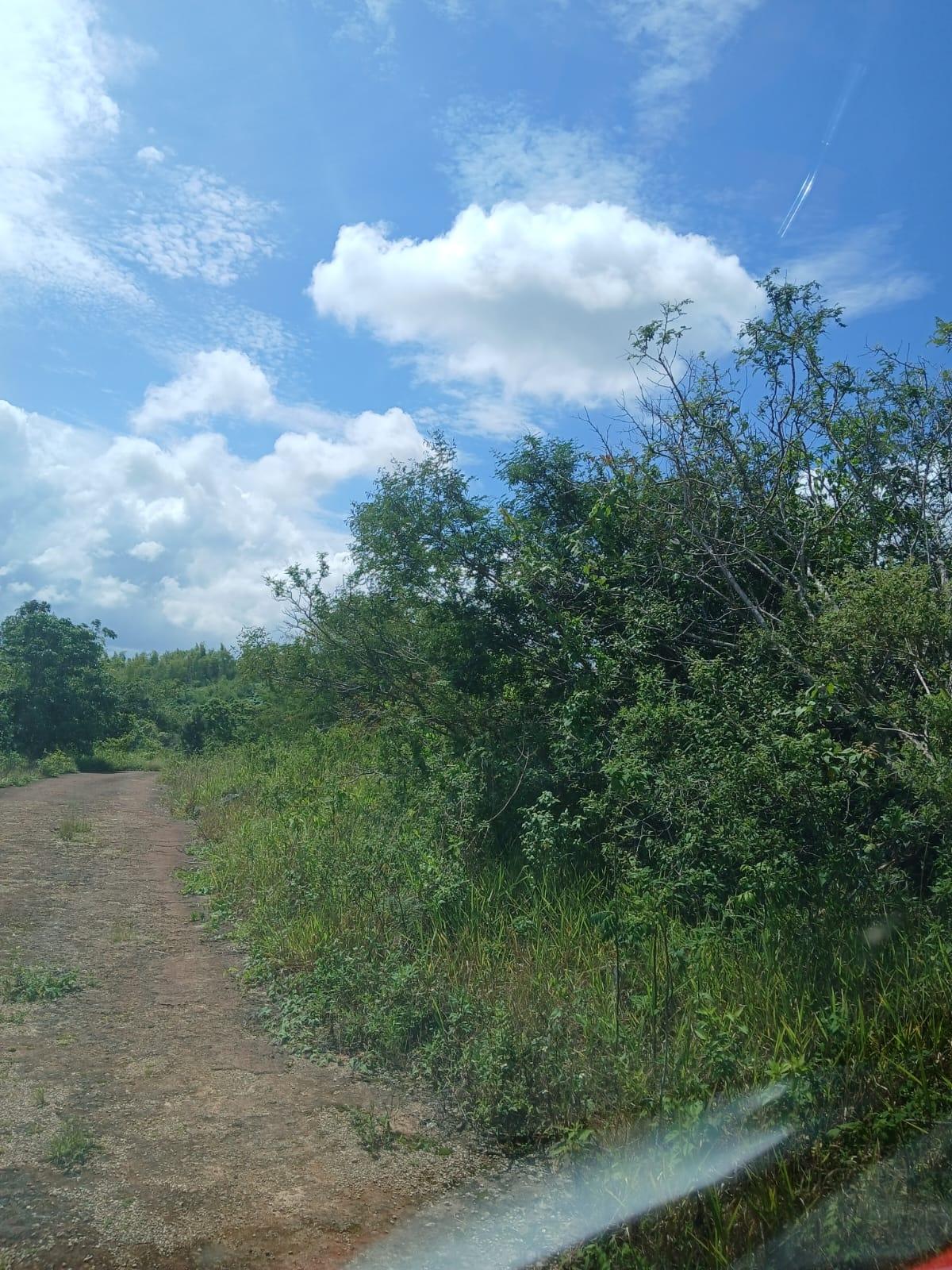 First image of Knockpatrick 7.8 Acre Lot in Mandeville, Manchester, Jamaica - property is For Sale