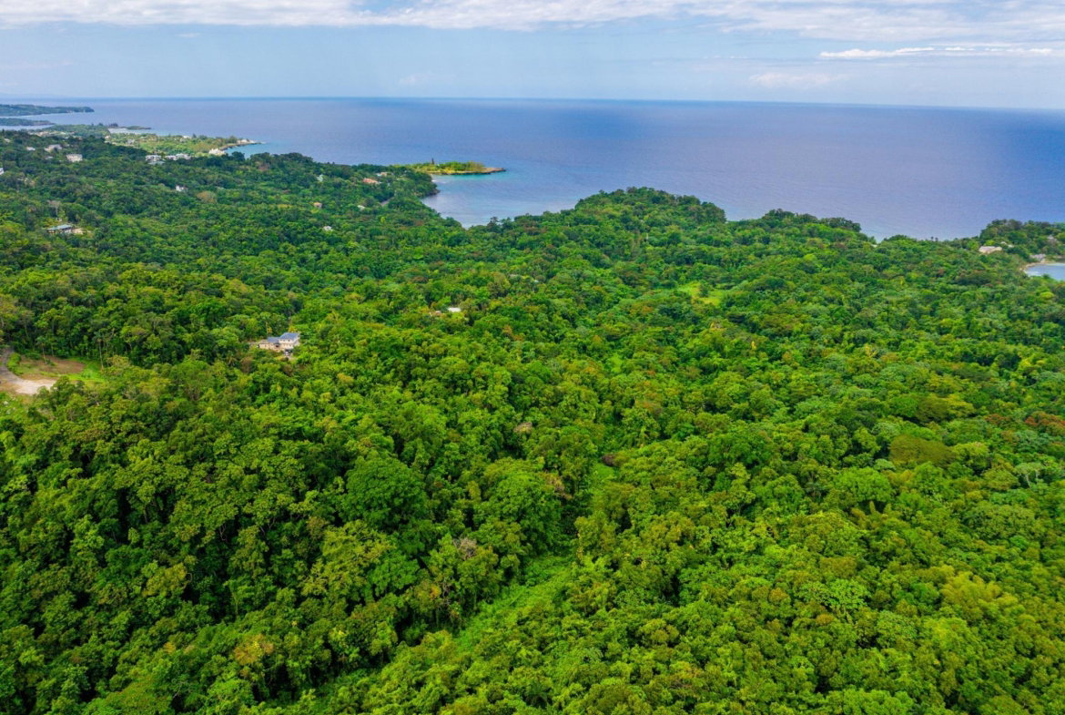 Eleventh image of 341 San San in Fairy Hill, Portland, Jamaica - property is For Sale