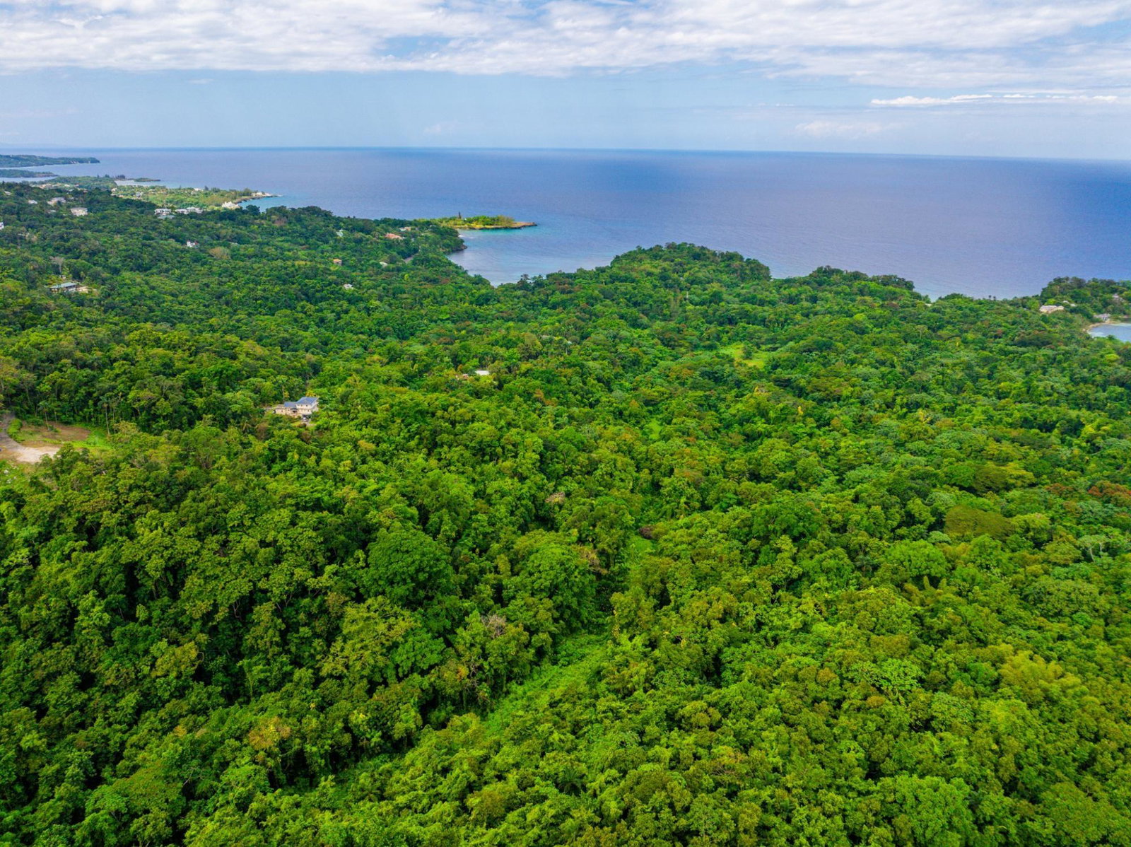 Eleventh image of 341 San San in Fairy Hill, Portland, Jamaica - property is For Sale