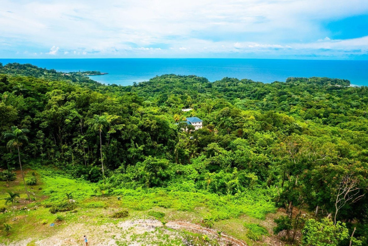 First image of 341 San San in Fairy Hill, Portland, Jamaica - property is For Sale