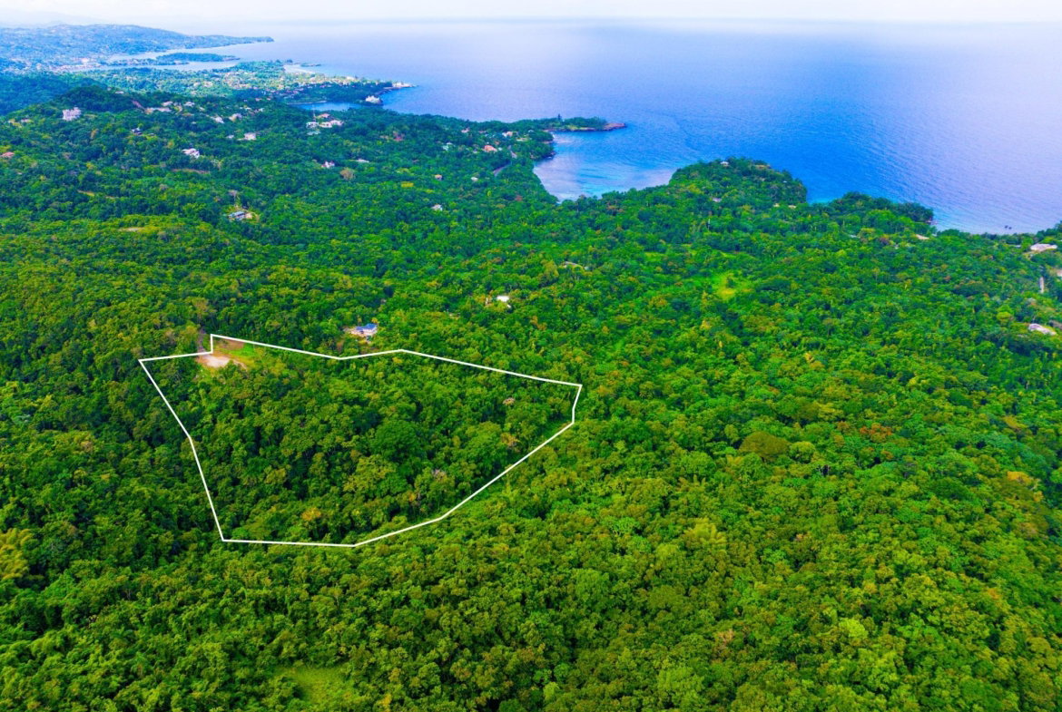 Third image of 341 San San in Fairy Hill, Portland, Jamaica - property is For Sale