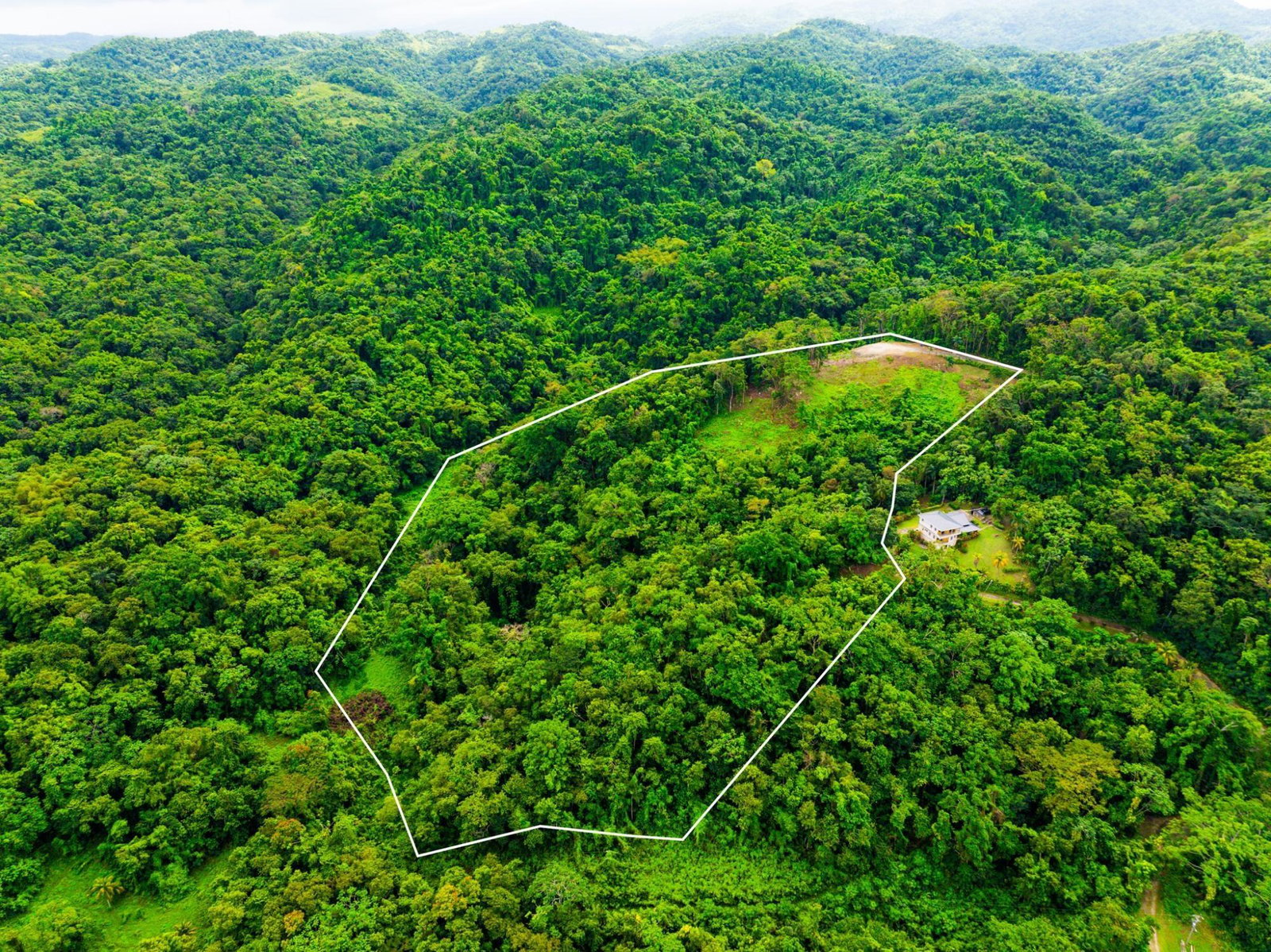 Fourth image of 341 San San in Fairy Hill, Portland, Jamaica - property is For Sale