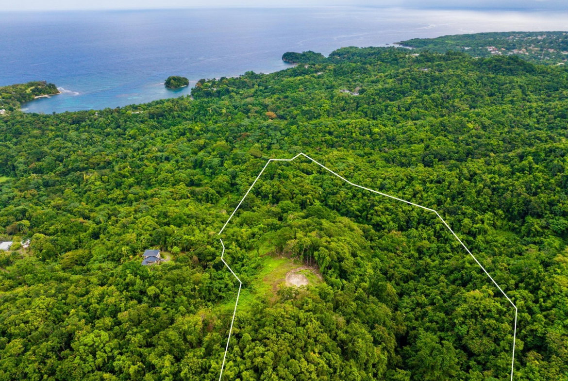 Fifth image of 341 San San in Fairy Hill, Portland, Jamaica - property is For Sale