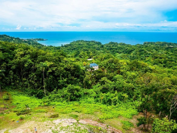 First image of 341 San San in Fairy Hill, Portland, Jamaica - property is For Sale