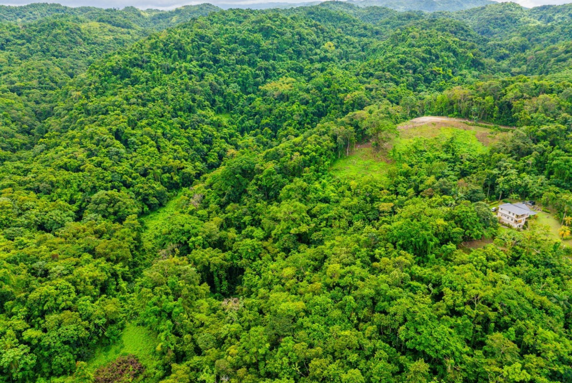 Tenth image of 341 San San in Fairy Hill, Portland, Jamaica - property is For Sale