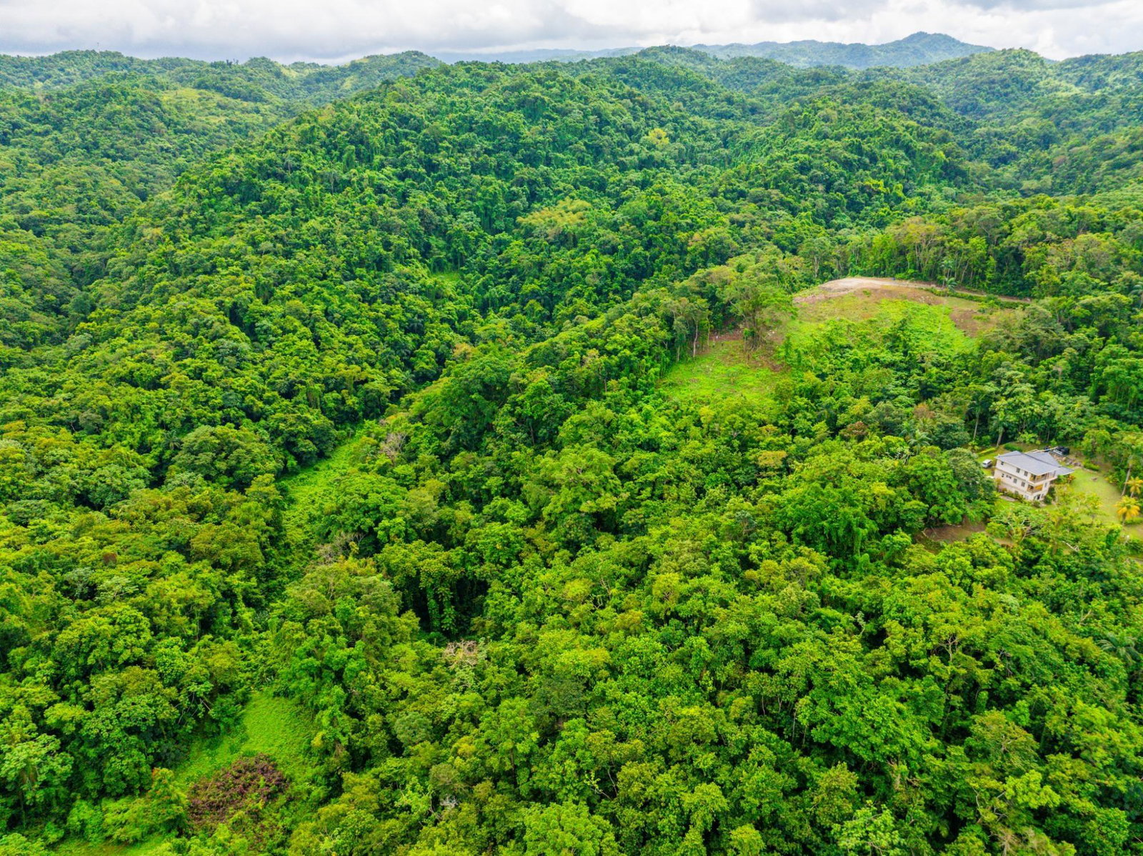 Tenth image of 341 San San in Fairy Hill, Portland, Jamaica - property is For Sale