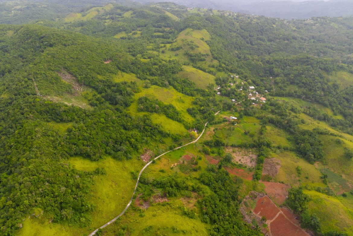 Fifth image of Mammee Ridge, Higgin Town, St. Ann in Claremont, St. Ann, Jamaica - property is For Sale