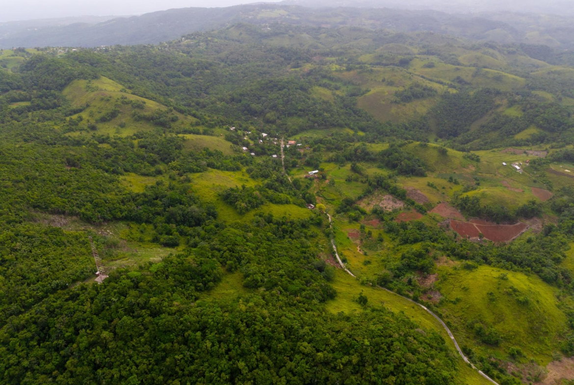 Seventh image of Mammee Ridge, Higgin Town, St. Ann in Claremont, St. Ann, Jamaica - property is For Sale