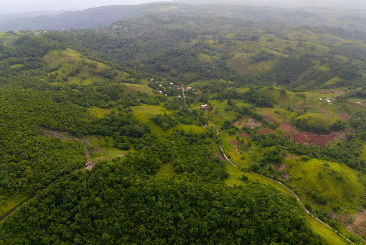 Eighth image of Mammee Ridge, Higgin Town, St. Ann in Claremont, St. Ann, Jamaica - property is For Sale