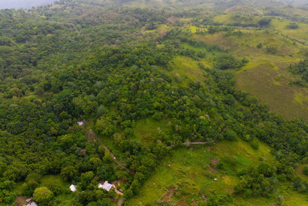 Ninth image of Mammee Ridge, Higgin Town, St. Ann in Claremont, St. Ann, Jamaica - property is For Sale