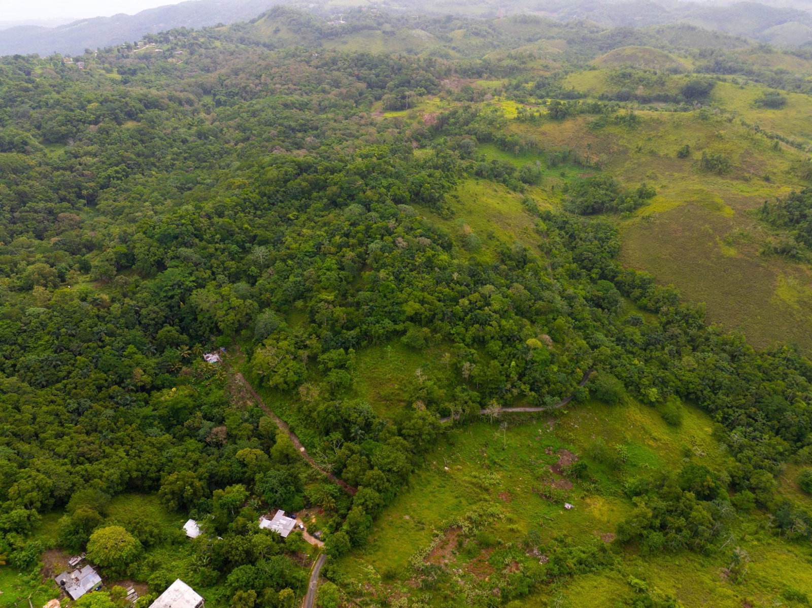 Ninth image of Mammee Ridge, Higgin Town, St. Ann in Claremont, St. Ann, Jamaica - property is For Sale