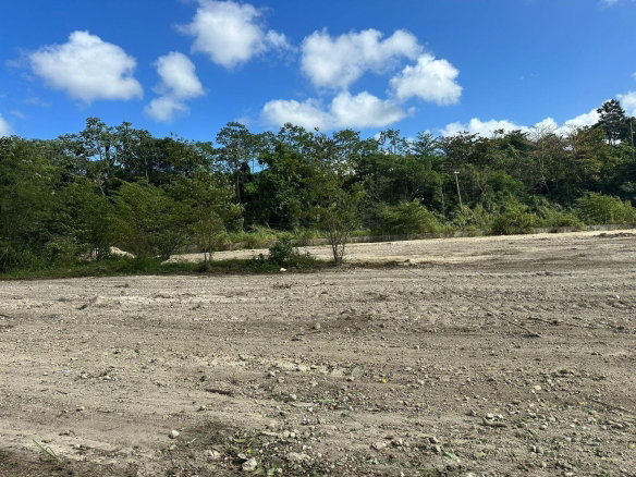 First image of Part of Retirement Estate in Retirement Estate, St. James, Jamaica - property is For Sale
