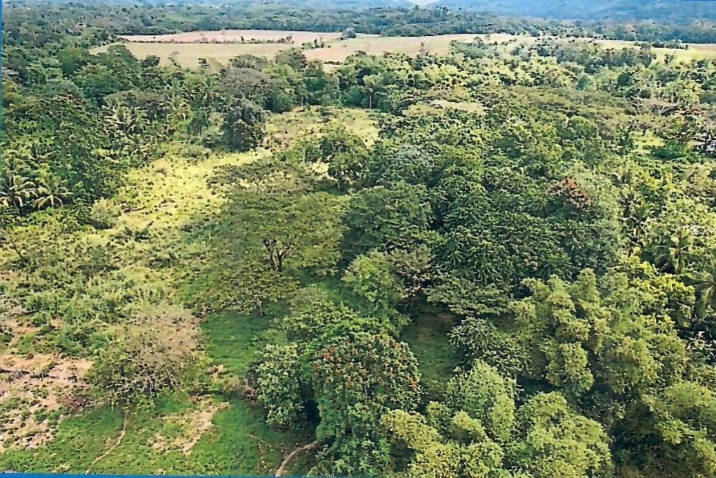 Second image of Knollis , Bog Walk, st ca in Knollis, St. Catherine, Jamaica - property is For Sale