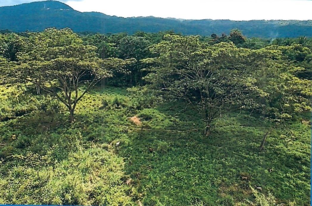 Fourth image of Knollis , Bog Walk, st ca in Knollis, St. Catherine, Jamaica - property is For Sale