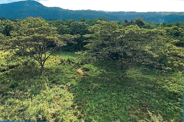 Fourth image of Knollis , Bog Walk, st ca in Knollis, St. Catherine, Jamaica - property is For Sale