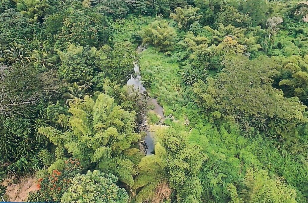 Fifth image of Knollis , Bog Walk, st ca in Knollis, St. Catherine, Jamaica - property is For Sale
