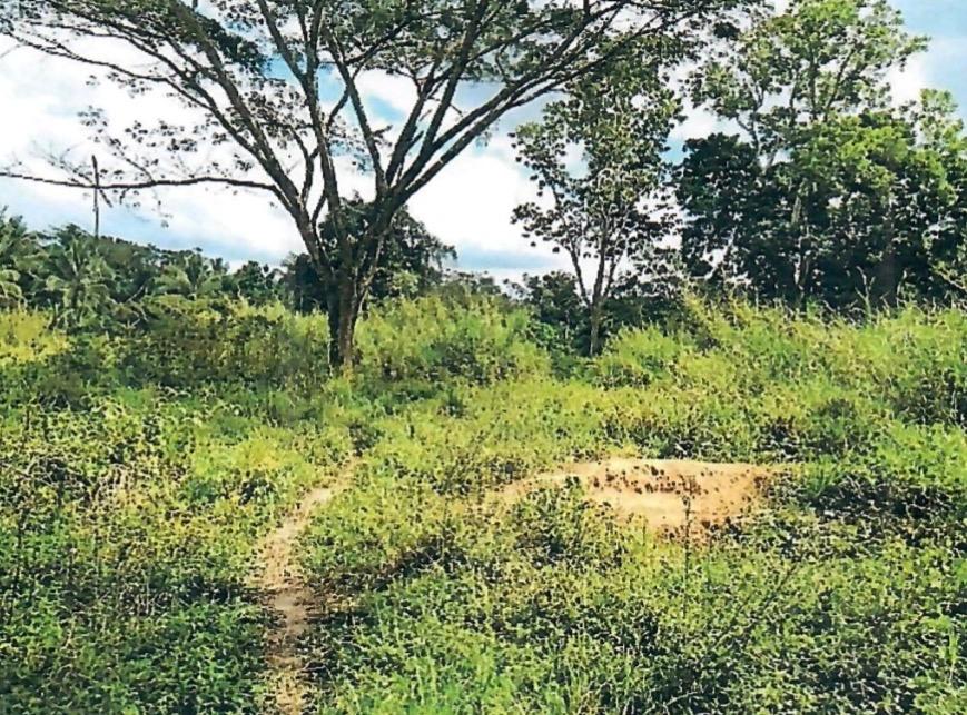 Seventh image of Knollis , Bog Walk, st ca in Knollis, St. Catherine, Jamaica - property is For Sale