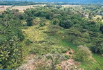 First image of Knollis , Bog Walk, st ca in Knollis, St. Catherine, Jamaica - property is For Sale