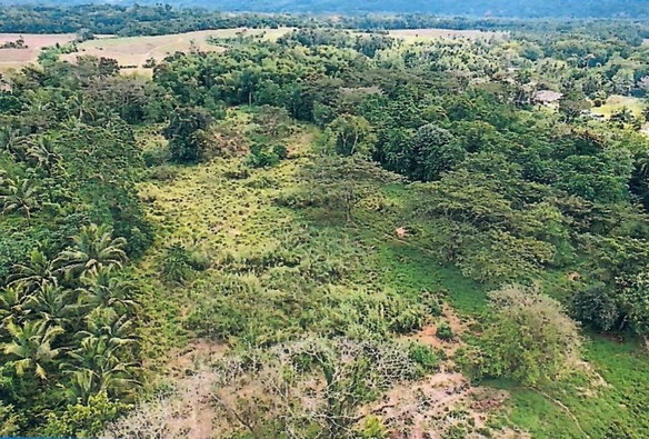 First image of Knollis , Bog Walk, st ca in Knollis, St. Catherine, Jamaica - property is For Sale