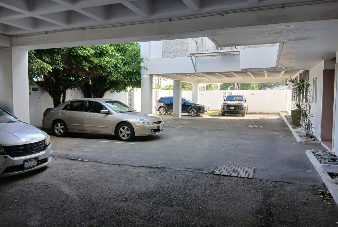 Ninth image of 22 Trafalgar Road in Kingston 5, St. Andrew, Jamaica - property is For Rent