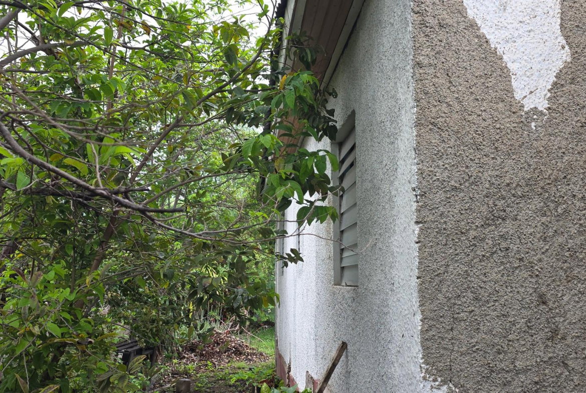 Fifteenth image of 6 Kings Avenue in Kingston 10, St. Andrew, Jamaica - property is For Sale