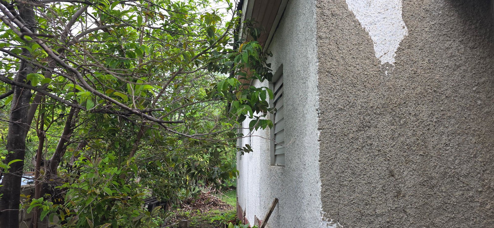 Fifteenth image of 6 Kings Avenue in Kingston 10, St. Andrew, Jamaica - property is For Sale