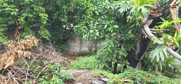 Sixteenth image of 6 Kings Avenue in Kingston 10, St. Andrew, Jamaica - property is For Sale
