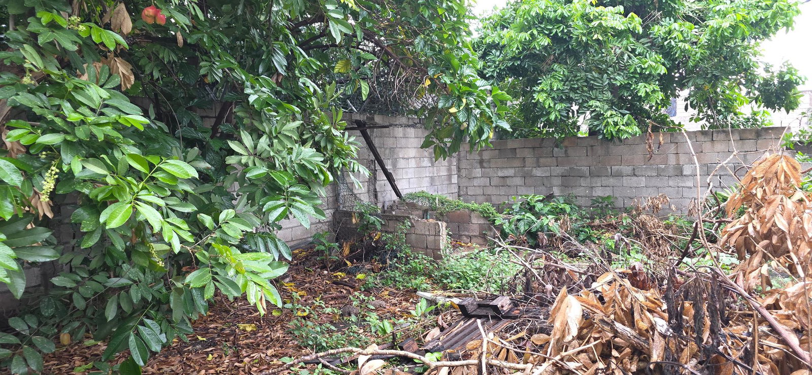 Seventeenth image of 6 Kings Avenue in Kingston 10, St. Andrew, Jamaica - property is For Sale