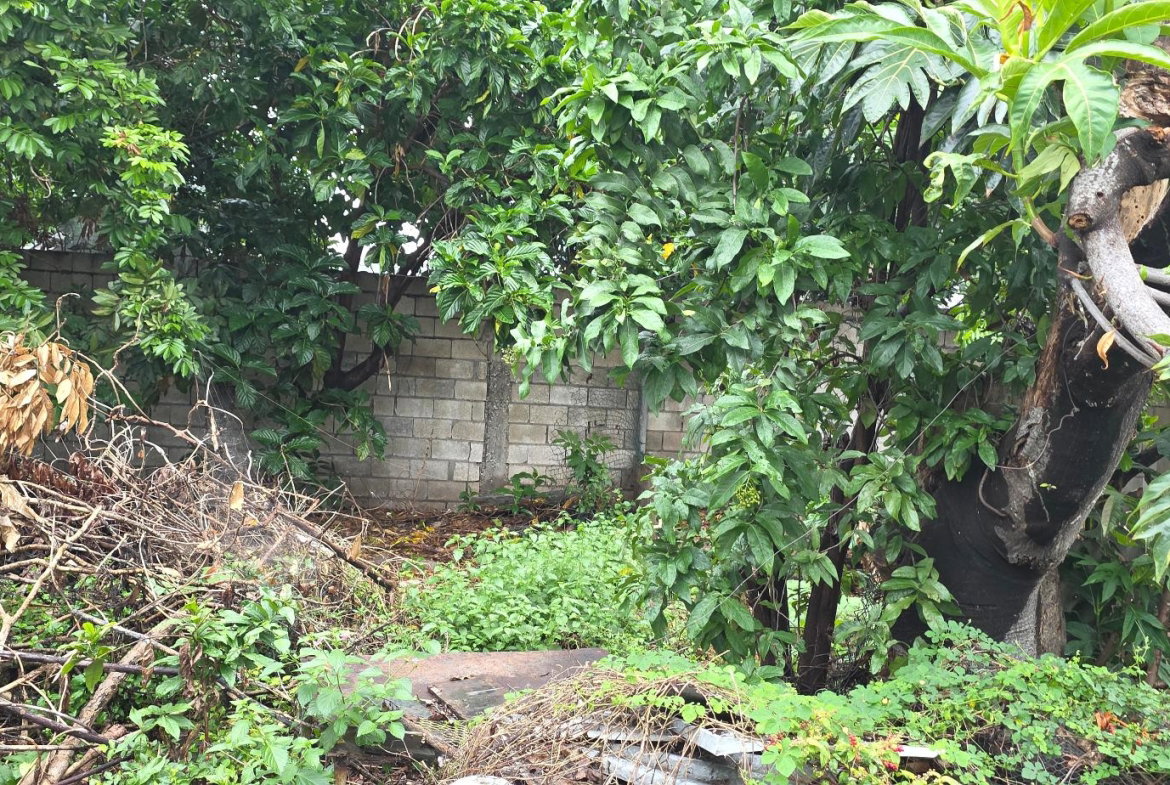 Nineteenth image of 6 Kings Avenue in Kingston 10, St. Andrew, Jamaica - property is For Sale