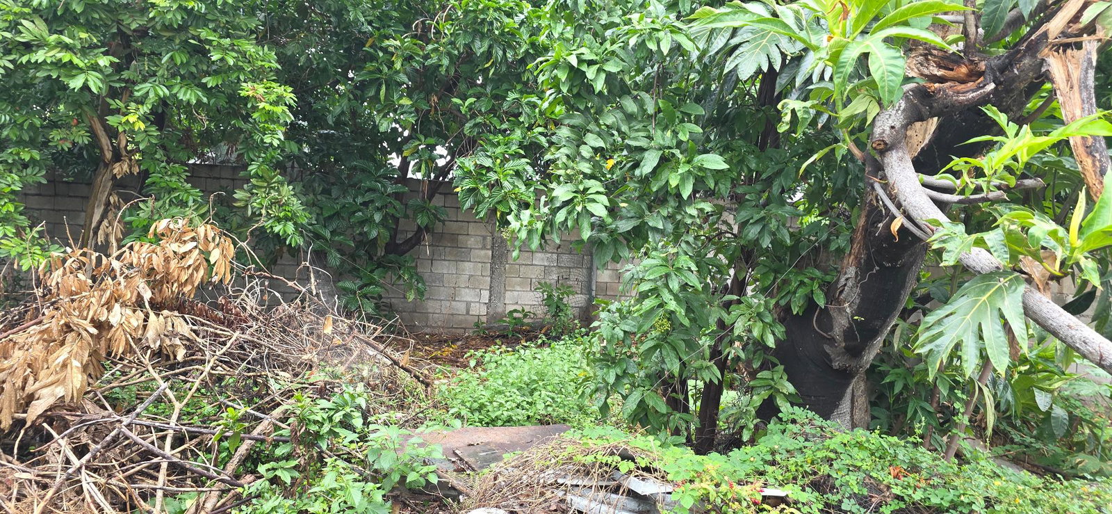 Nineteenth image of 6 Kings Avenue in Kingston 10, St. Andrew, Jamaica - property is For Sale