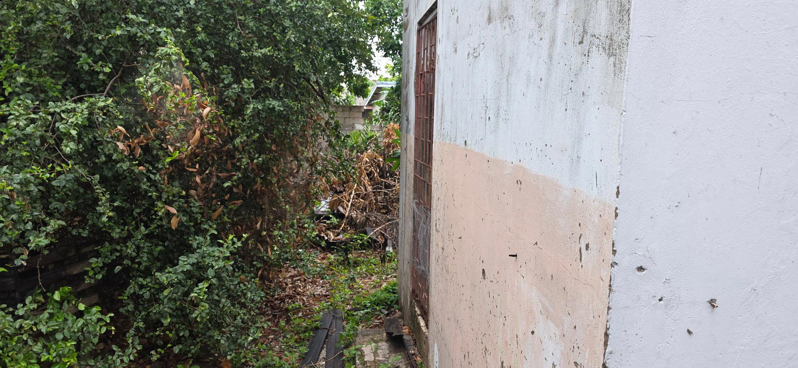 Twentieth image of 6 Kings Avenue in Kingston 10, St. Andrew, Jamaica - property is For Sale