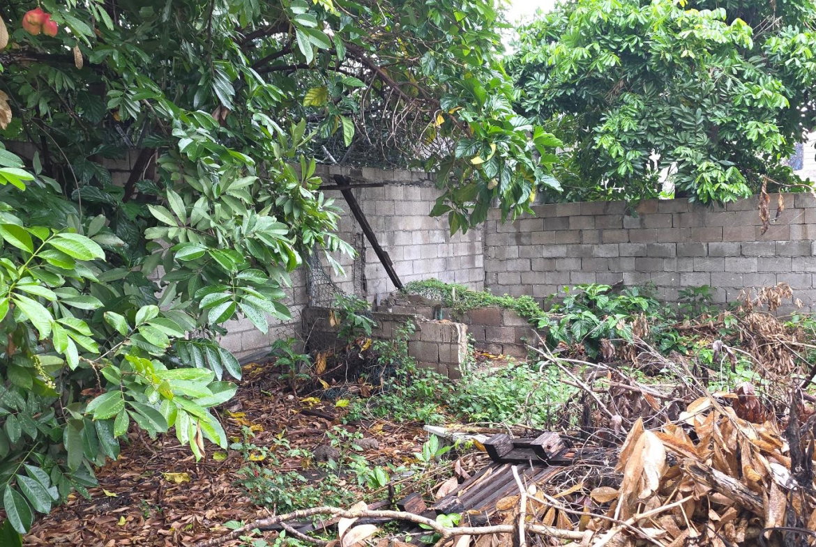 Twenty-Second image of 6 Kings Avenue in Kingston 10, St. Andrew, Jamaica - property is For Sale