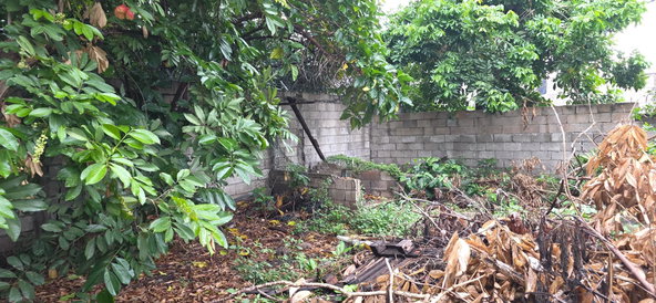 Twenty-Second image of 6 Kings Avenue in Kingston 10, St. Andrew, Jamaica - property is For Sale