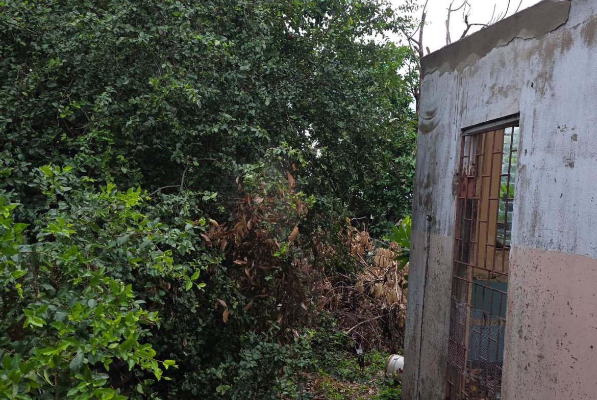 Twenty-Third image of 6 Kings Avenue in Kingston 10, St. Andrew, Jamaica - property is For Sale