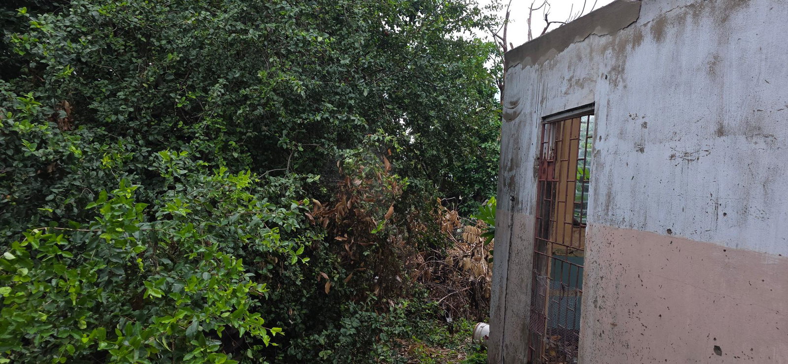 Twenty-Third image of 6 Kings Avenue in Kingston 10, St. Andrew, Jamaica - property is For Sale