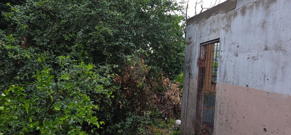 Twenty-Third image of 6 Kings Avenue in Kingston 10, St. Andrew, Jamaica - property is For Sale