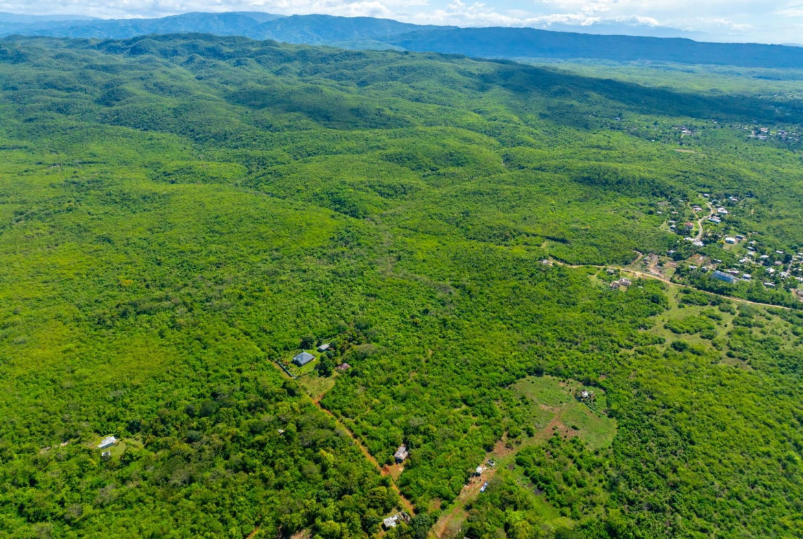 Second image of Denbigh, Clarendon in Denbigh, Clarendon, Jamaica - property is For Sale