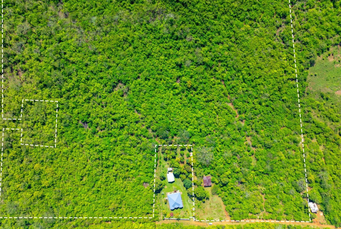 Eleventh image of Denbigh, Clarendon in Denbigh, Clarendon, Jamaica - property is For Sale