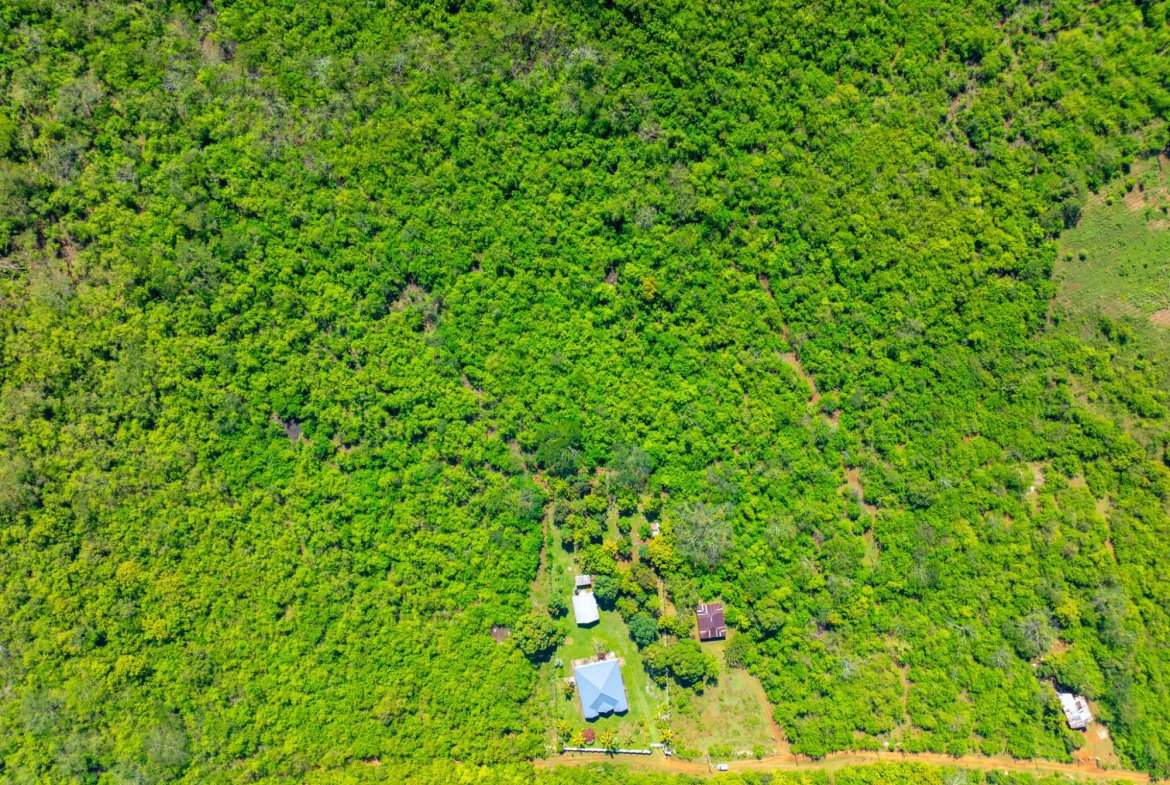 Third image of Denbigh, Clarendon in Denbigh, Clarendon, Jamaica - property is For Sale