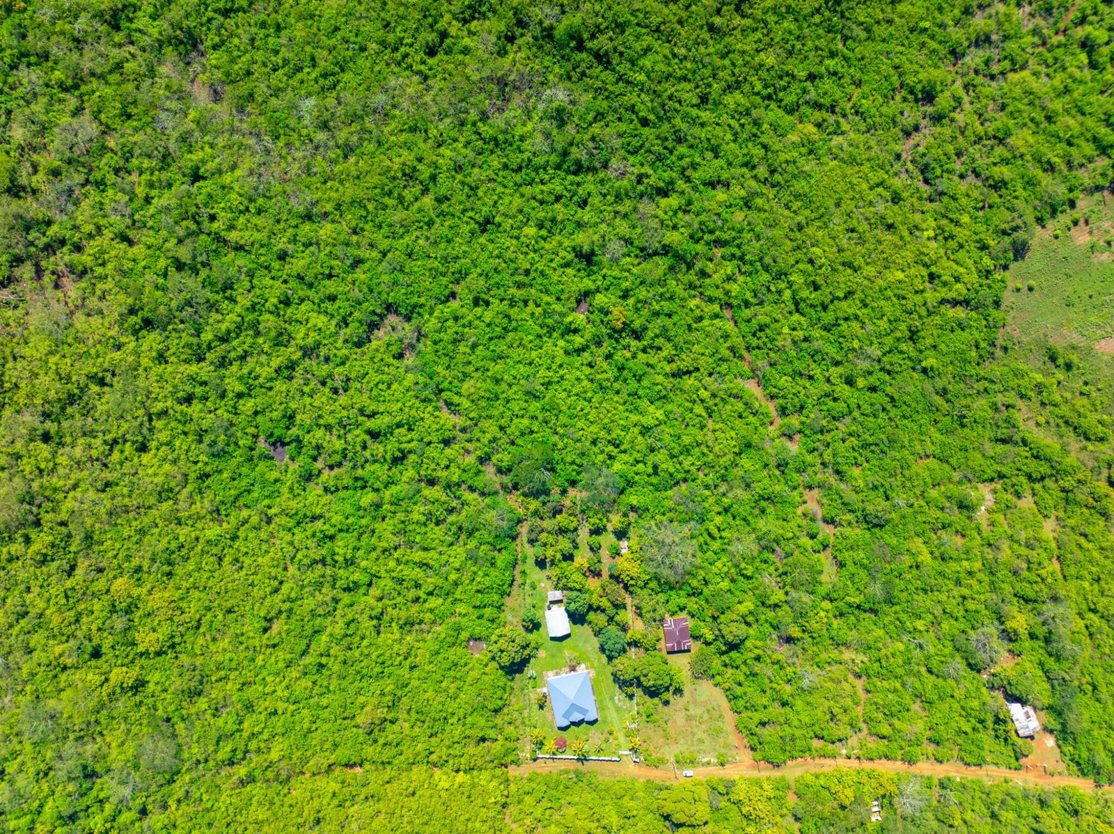 Third image of Denbigh, Clarendon in Denbigh, Clarendon, Jamaica - property is For Sale