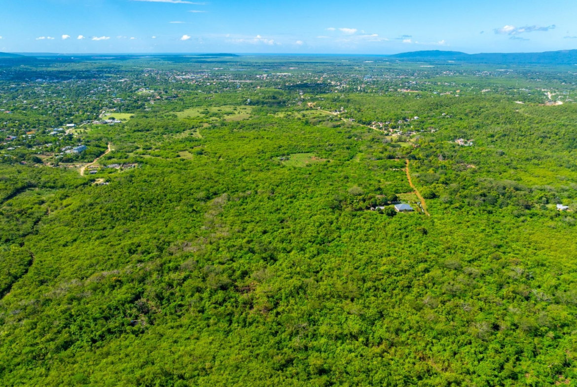 Fourth image of Denbigh, Clarendon in Denbigh, Clarendon, Jamaica - property is For Sale