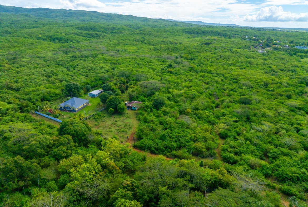 Fifth image of Denbigh, Clarendon in Denbigh, Clarendon, Jamaica - property is For Sale