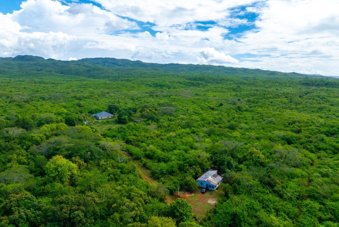 Sixth image of Denbigh, Clarendon in Denbigh, Clarendon, Jamaica - property is For Sale