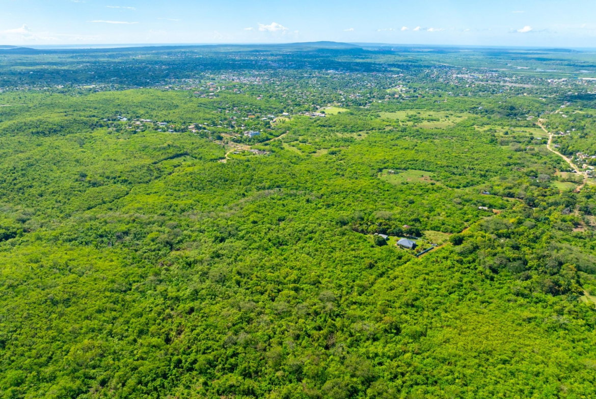 Seventh image of Denbigh, Clarendon in Denbigh, Clarendon, Jamaica - property is For Sale