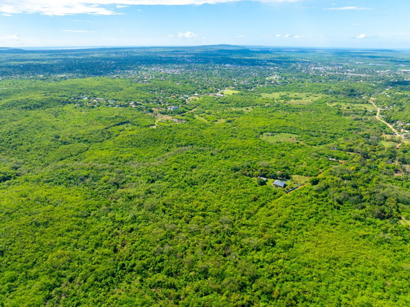 Seventh image of Denbigh, Clarendon in Denbigh, Clarendon, Jamaica - property is For Sale