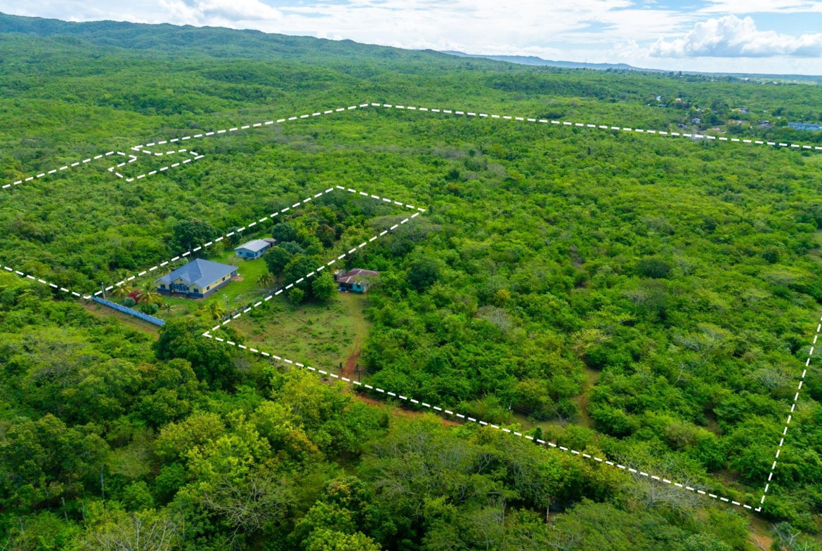 Eighth image of Denbigh, Clarendon in Denbigh, Clarendon, Jamaica - property is For Sale