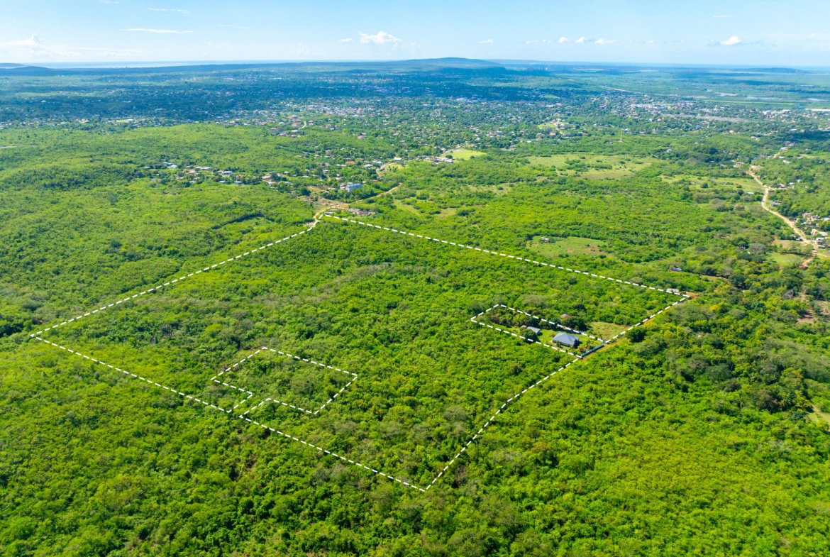 Tenth image of Denbigh, Clarendon in Denbigh, Clarendon, Jamaica - property is For Sale