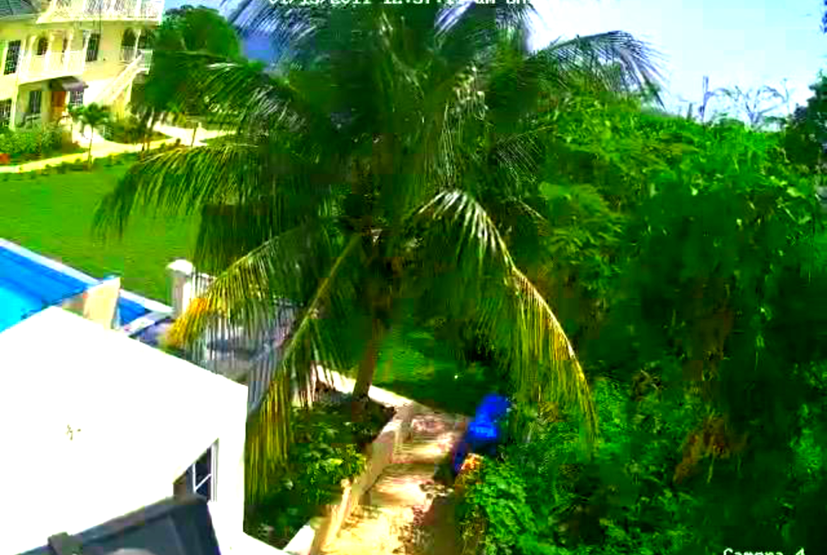 Second image of 2- Sunset Drive in White House WD, Westmoreland, Jamaica - property is For Rent